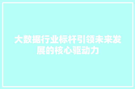 大数据行业标杆引领未来发展的核心驱动力