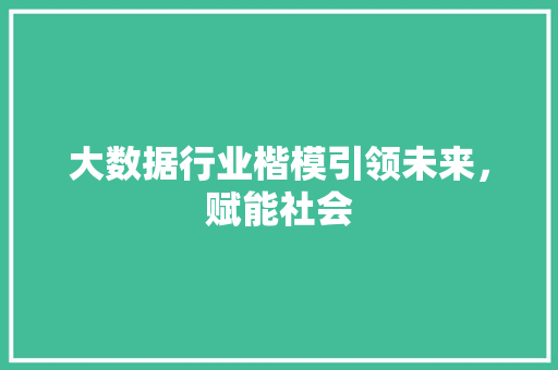 大数据行业楷模引领未来，赋能社会