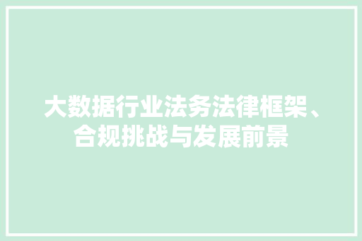大数据行业法务法律框架、合规挑战与发展前景