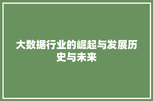 大数据行业的崛起与发展历史与未来