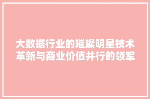 大数据行业的璀璨明星技术革新与商业价值并行的领军人物  第1张
