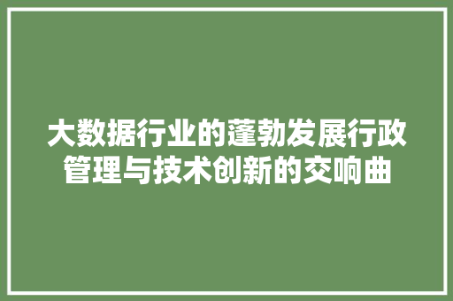 大数据行业的蓬勃发展行政管理与技术创新的交响曲  第1张
