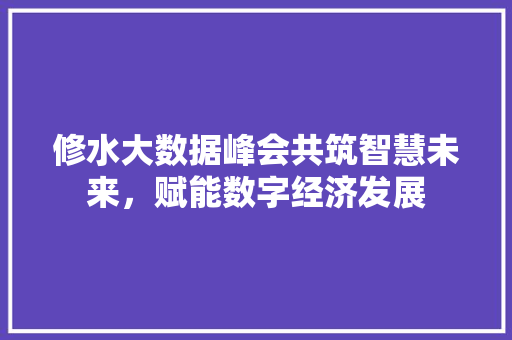 修水大数据峰会共筑智慧未来，赋能数字经济发展