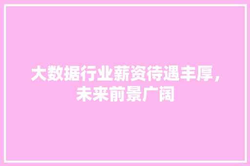 大数据行业薪资待遇丰厚，未来前景广阔  第1张