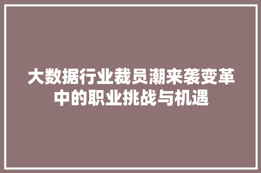 大数据行业裁员潮来袭变革中的职业挑战与机遇  第1张