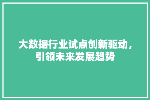 大数据行业试点创新驱动，引领未来发展趋势