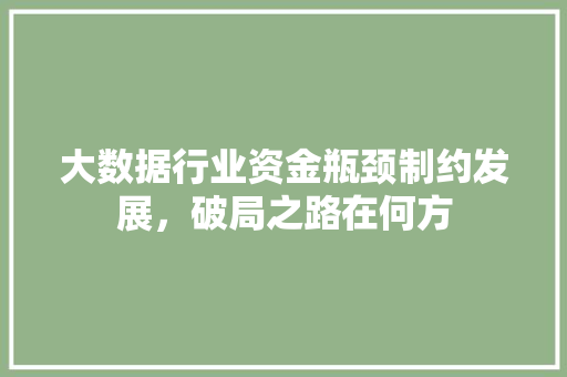 大数据行业资金瓶颈制约发展，破局之路在何方