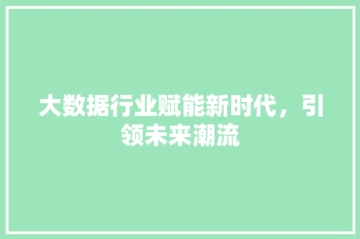 大数据行业赋能新时代，引领未来潮流  第1张