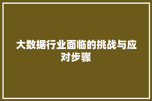 大数据行业面临的挑战与应对步骤  第1张