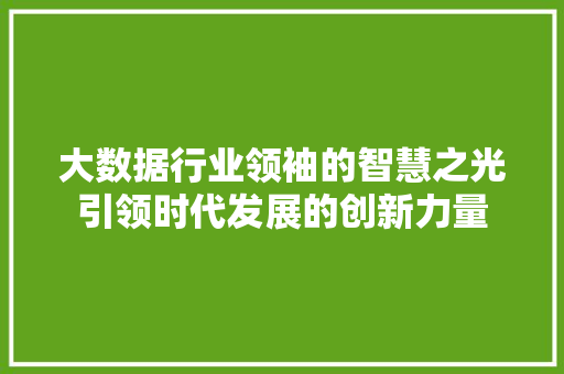 大数据行业领袖的智慧之光引领时代发展的创新力量  第1张