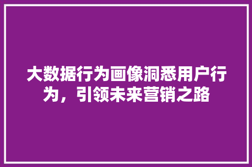 大数据行为画像洞悉用户行为，引领未来营销之路  第1张