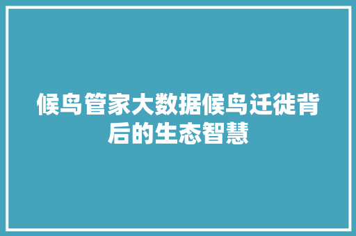 候鸟管家大数据候鸟迁徙背后的生态智慧