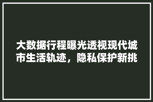 大数据行程曝光透视现代城市生活轨迹，隐私保护新挑战