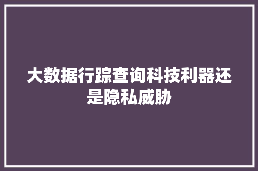 大数据行踪查询科技利器还是隐私威胁  第1张