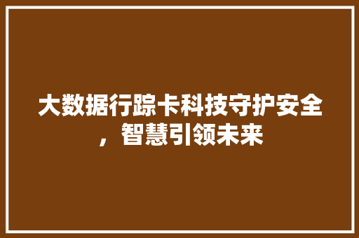 大数据行踪卡科技守护安全，智慧引领未来  第1张