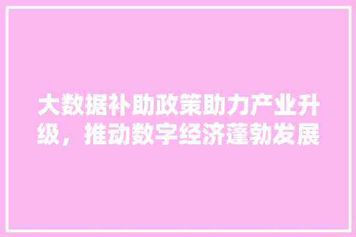 大数据补助政策助力产业升级，推动数字经济蓬勃发展  第1张