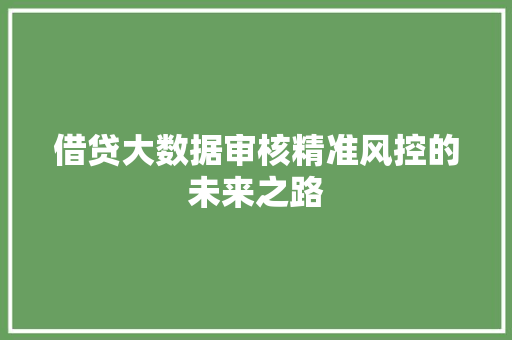借贷大数据审核精准风控的未来之路