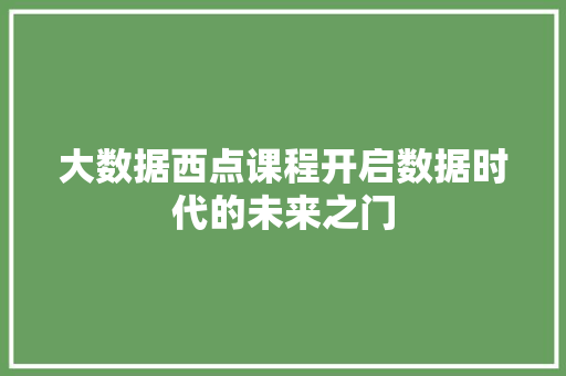 大数据西点课程开启数据时代的未来之门