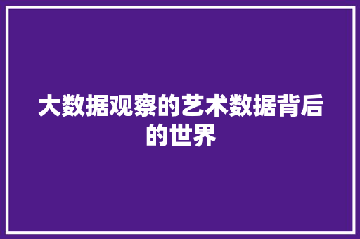 大数据观察的艺术数据背后的世界