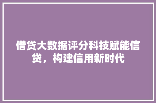 借贷大数据评分科技赋能信贷，构建信用新时代