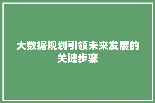 大数据规划引领未来发展的关键步骤