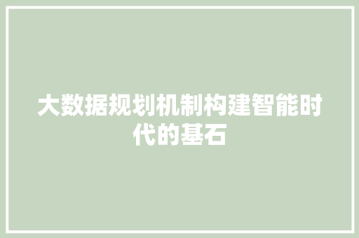 大数据规划机制构建智能时代的基石
