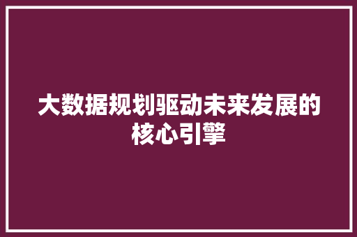 大数据规划驱动未来发展的核心引擎