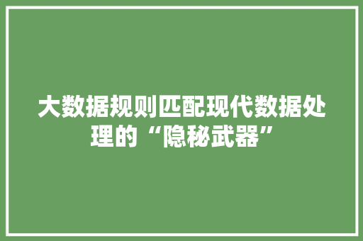 大数据规则匹配现代数据处理的“隐秘武器”
