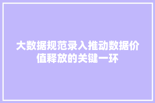 大数据规范录入推动数据价值释放的关键一环