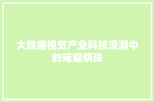 大数据视觉产业科技浪潮中的璀璨明珠  第1张