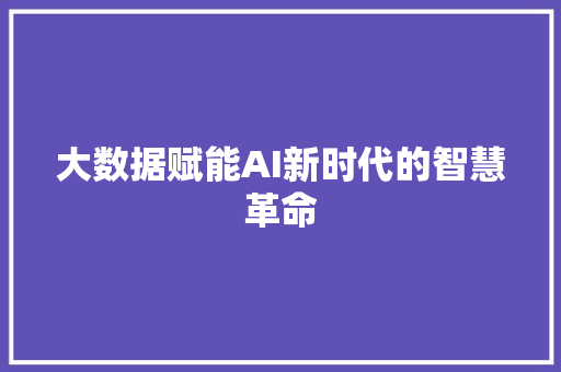 大数据赋能AI新时代的智慧革命