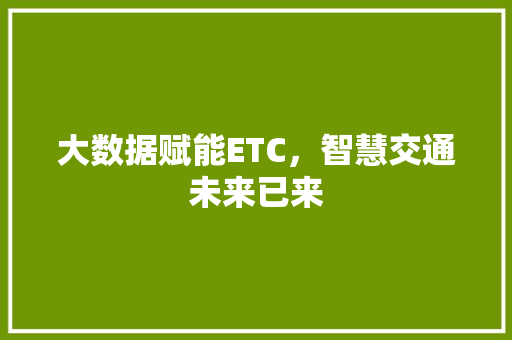 大数据赋能ETC，智慧交通未来已来  第1张