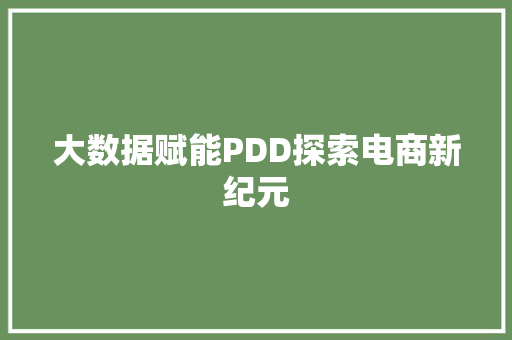 大数据赋能PDD探索电商新纪元  第1张