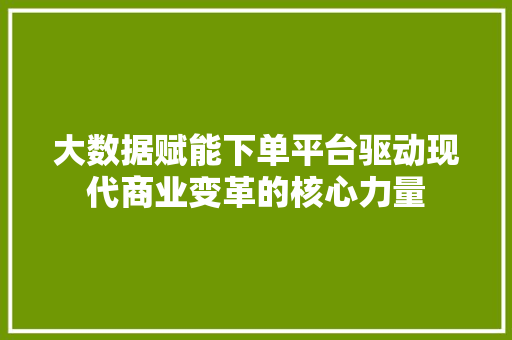 大数据赋能下单平台驱动现代商业变革的核心力量