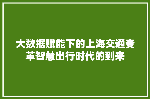 大数据赋能下的上海交通变革智慧出行时代的到来  第1张