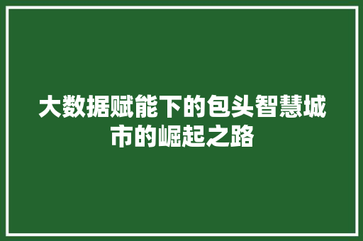 大数据赋能下的包头智慧城市的崛起之路