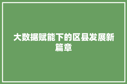 大数据赋能下的区县发展新篇章