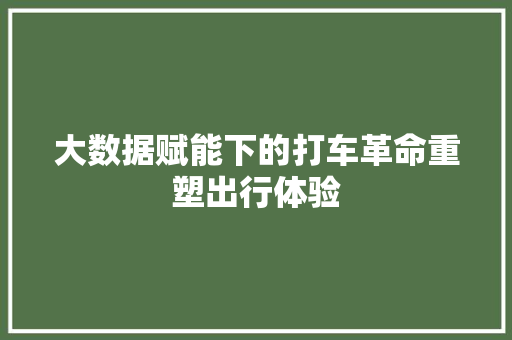 大数据赋能下的打车革命重塑出行体验