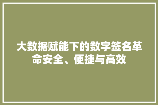 大数据赋能下的数字签名革命安全、便捷与高效