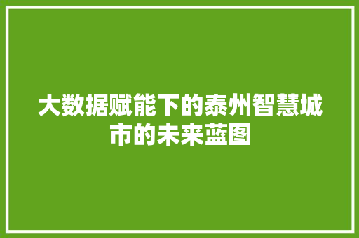 大数据赋能下的泰州智慧城市的未来蓝图