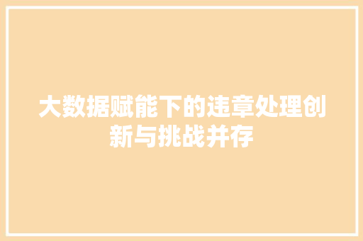 大数据赋能下的违章处理创新与挑战并存