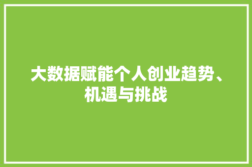 大数据赋能个人创业趋势、机遇与挑战