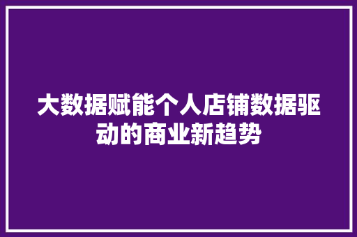 大数据赋能个人店铺数据驱动的商业新趋势  第1张