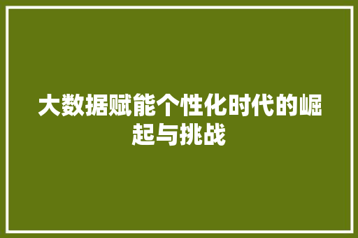 大数据赋能个性化时代的崛起与挑战