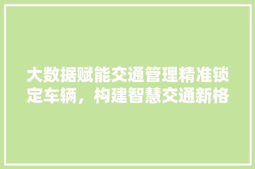 大数据赋能交通管理精准锁定车辆，构建智慧交通新格局  第1张