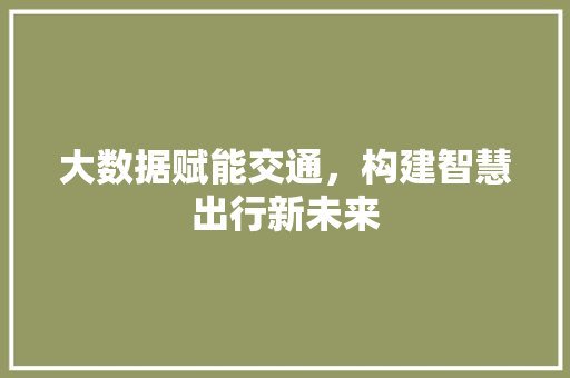 大数据赋能交通，构建智慧出行新未来  第1张