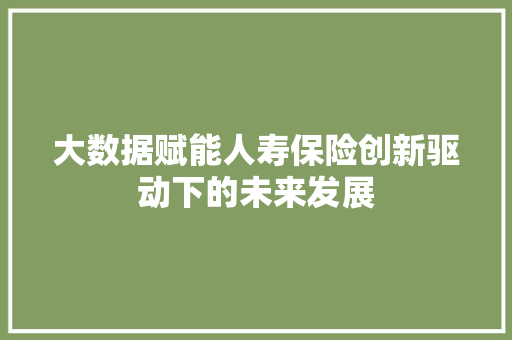 大数据赋能人寿保险创新驱动下的未来发展