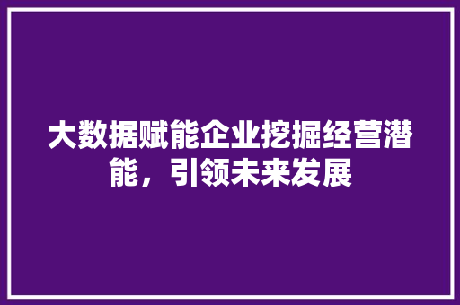 大数据赋能企业挖掘经营潜能，引领未来发展  第1张