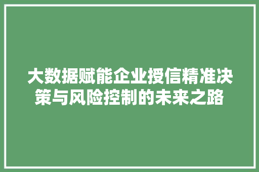 大数据赋能企业授信精准决策与风险控制的未来之路