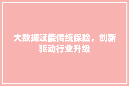 大数据赋能传统保险，创新驱动行业升级
